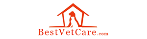 Best Vet Care